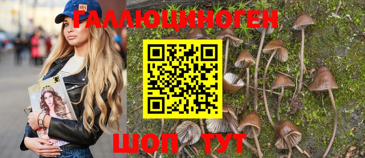 Псилоцибиновые грибы мухоморы  Вход с VPN  Псилоцибиновые грибы Magic Shrooms  как найти закладки  Елец 