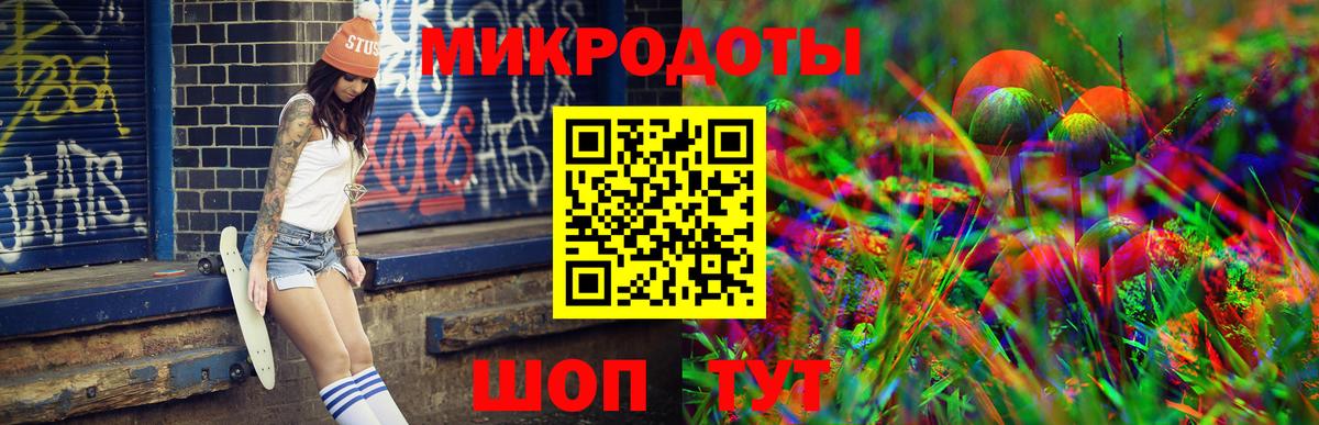 Галлюциногенные грибы Psilocybine cubensis Елец